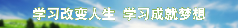 2011˽